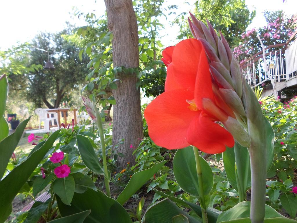 Bozelia Apartments Toroni Luaran gambar