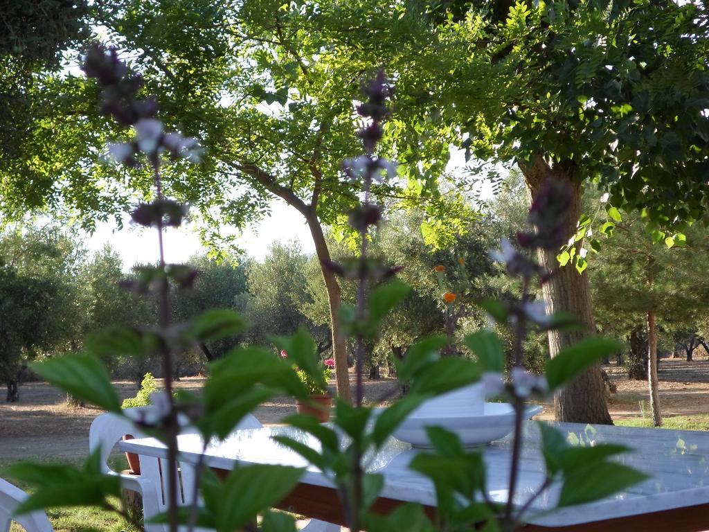 Bozelia Apartments Toroni Luaran gambar